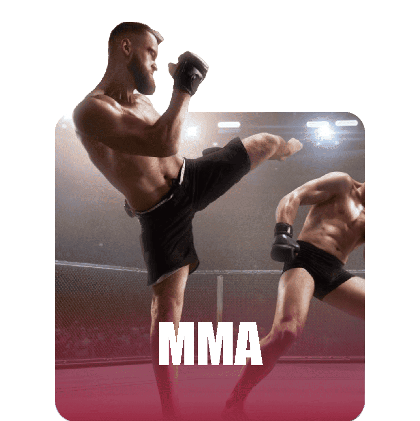 MMA (Mixed Martial Arts) Academy